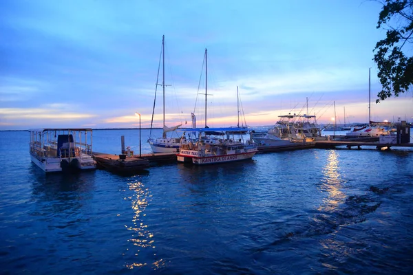 Beautiful Bonaire Caribbean Netherlands September 2016 照片来源 Marty Jean Louis — 图库照片