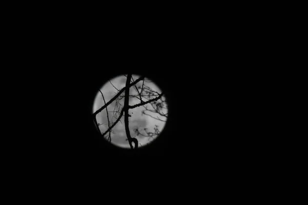 Bela Vista Lua Cheia Céu Noturno — Fotografia de Stock