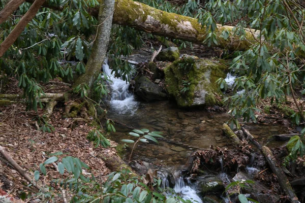 Zima Maggie Valley Karolina Północna — Zdjęcie stockowe