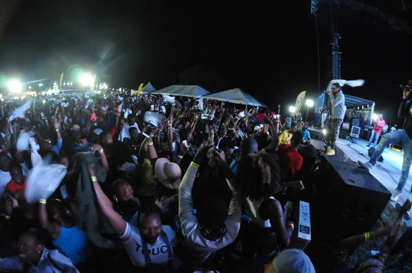 Orlando Caribbean Festival Março 2017 Florid Photo Credit Marty Jean — Fotografia de Stock