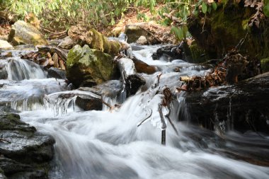 Maggie Vadisi, Kuzey Carolina 'da kış.