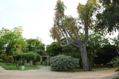 Parkın güzel manzarasına bakın.