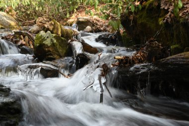 Maggie Vadisi, Kuzey Carolina 'da kış.