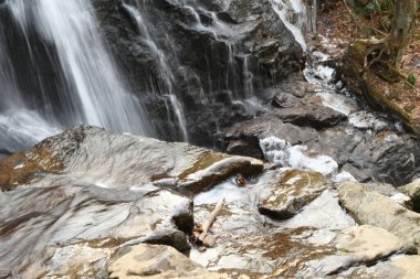 Maggie Vadisi, Kuzey Carolina 'da kış.