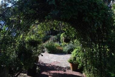 Orlando Florida 'daki Lew Garden. 