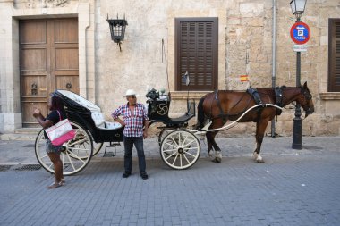 Bir faytoncuyla at arabasının görüntüsü