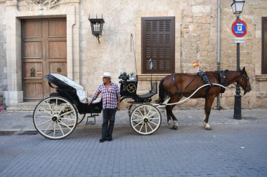Bir faytoncuyla at arabasının görüntüsü