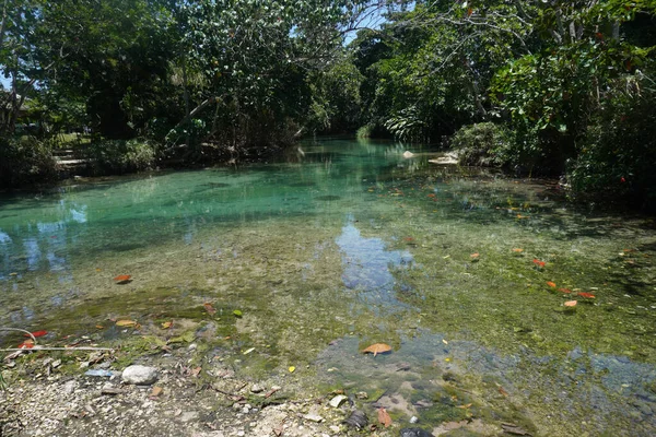 澄んだ水と美しい池の海岸からの眺め — ストック写真