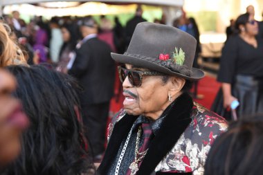 24 Mart 2018 Cumartesi günü Las Vegas 'taki Orleans Resort' ta düzenlenen 33. Yıldız Ödülleri Kırmızı Halı sırasında ünlüler.