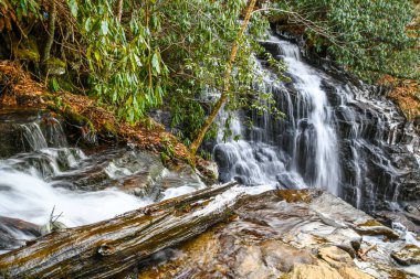 Maggie Vadisi, Kuzey Carolina 'da kış.