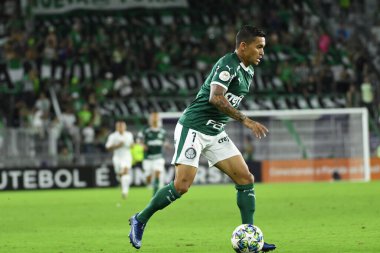 Florida Kupası 2020: S.E Palmeiras - Atletico Nacional maçı 15 Ocak 2020 Çarşamba günü Orlando Florida Exploria Stadyumu 'nda..  
