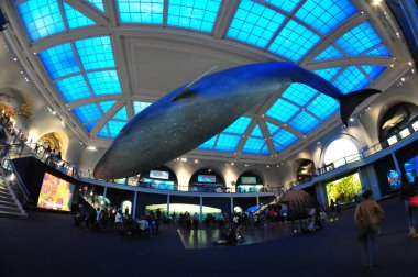 22 Mayıs 2016 'da New York' un geniş açı görüntüsü. 