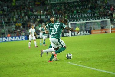 Florida Kupası 2020: S.E Palmeiras - Atletico Nacional maçı 15 Ocak 2020 Çarşamba günü Orlando Florida Exploria Stadyumu 'nda..  
