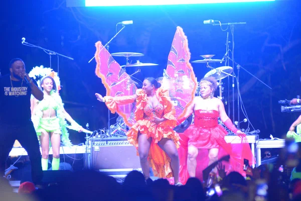 Orlando Caribbean Festival Marzo 2017 Recinto Ferial Florida Orlando Florida — Foto de Stock