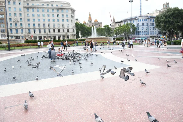 Uitzicht Het Centrale Plein Waar Mensen Duiven Voeren — Stockfoto