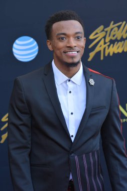 24 Mart 2018 Cumartesi günü Las Vegas 'taki Orleans Resort' ta düzenlenen 33. Yıldız Ödülleri Kırmızı Halı sırasında ünlüler.