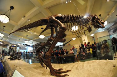 22 Mayıs 2016 'da New York' un geniş açı görüntüsü.  