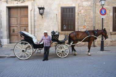 Bir faytoncuyla at arabasının görüntüsü