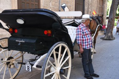 Bir faytoncuyla at arabasının görüntüsü