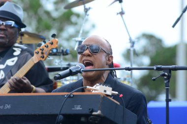 Stevie Wonder, Başkan Barack Obama 'nın 6 Kasım 2016' da Kissimmee Florida 'da başkanlık adaylığını destekleyen mitinginde performans sergiliyor..