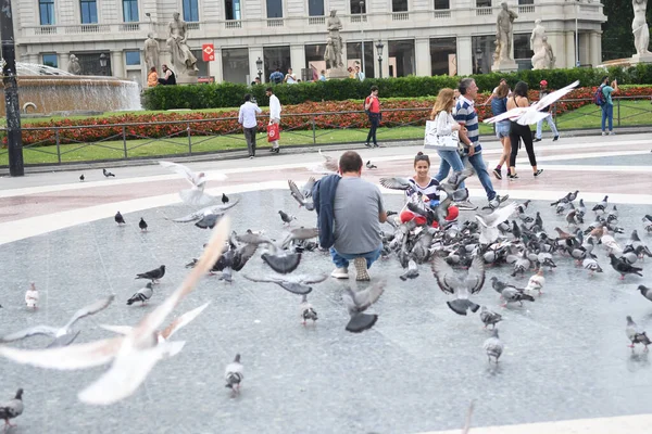 Uitzicht Het Centrale Plein Waar Mensen Duiven Voeren — Stockfoto