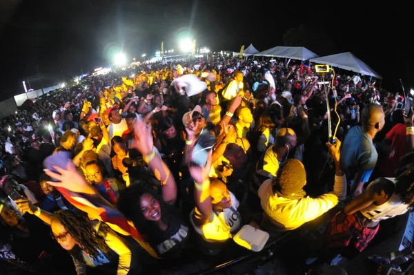 Orlando Caribbean Festival Den Mars 2017 Florid Photo Credit Marty — Stockfoto