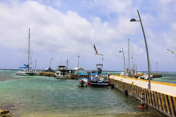 Hermosa Costa Maya México Mayo 2014 — Foto de Stock