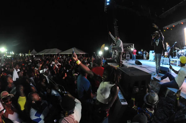 Orlando Caribbean Festival Março 2017 Florid Photo Credit Marty Jean — Fotografia de Stock