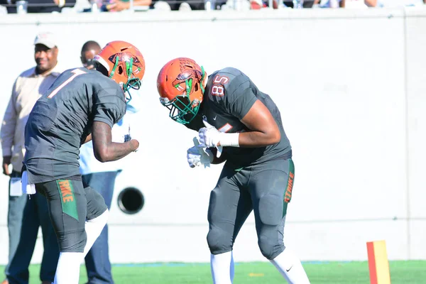 Florida Rattlers Face Bethune Cookman Wildcats Durig Florida Classics Camping — стоковое фото