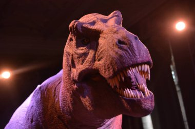 Londra Güzellik Şehri, 28 Mayıs 2017.