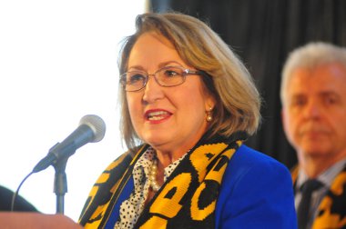 Orlando Pride, 16 Temmuz 2016 'da Orlando Florida' da Chicago Stars 'a ev sahipliği yaptı.. 