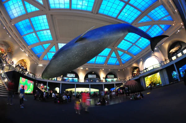 22 Mayıs 2016 'da New York' un geniş açı görüntüsü. 