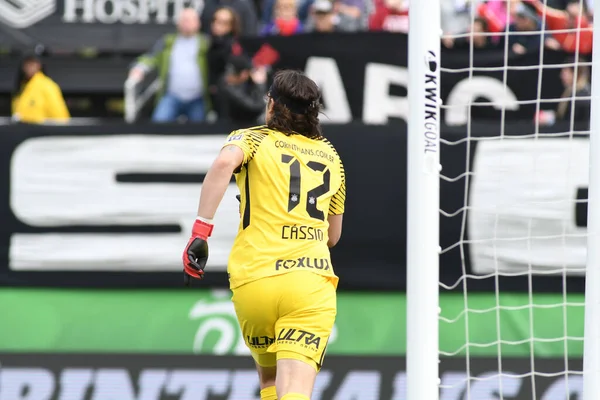 13 Ocak 2018 'de Orlando Florida' daki Spektrum Stadyumu 'nda düzenlenen Florida Kupası' nda Korucular Corinthianlara karşı..