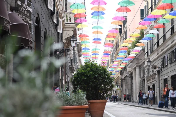 Färgglada Paraplyer Den Vackra Staden Genua Italy — Stockfoto