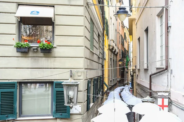 Weiße Sonnenschirme Der Schönen Stadt Genua Italien — Stockfoto