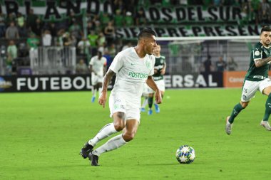 Florida Kupası 2020: S.E Palmeiras - Atletico Nacional maçı 15 Ocak 2020 Çarşamba günü Orlando Florida Exploria Stadyumu 'nda..  