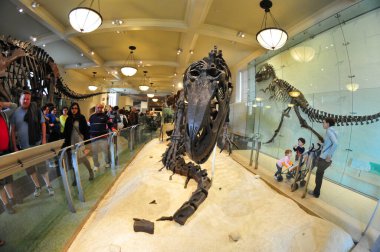 22 Mayıs 2016 'da New York' un geniş açı görüntüsü.  