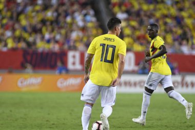 ABD Kolombiya 'ya karşı Raymond James Stadyumu' nda 11 Ekim 2018 'de.  