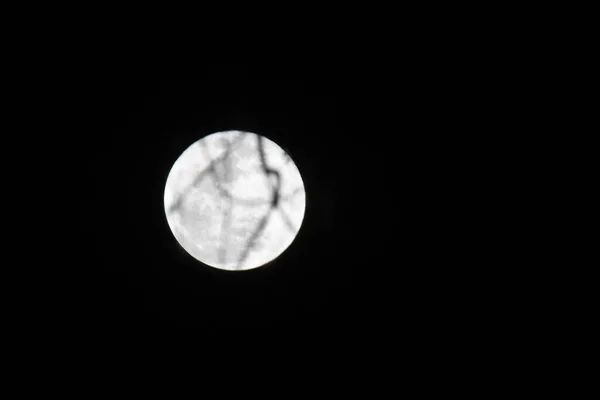 Красивий Вид Повний Місяць Нічному Небі — стокове фото