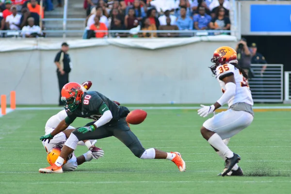 Florida Rattlers Enfrentan Bethune Cookman Wildcats Durante Los Clásicos Florida —  Fotos de Stock