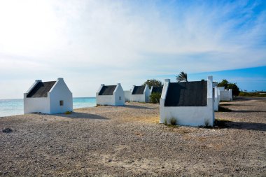 21 Eylül 2016 'da Hollanda' daki Güzel Bonaire. Fotoğraf: Marty Jean-Louis
