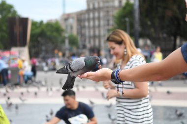 İnsanların güvercinleri beslediği ana meydanı görün
