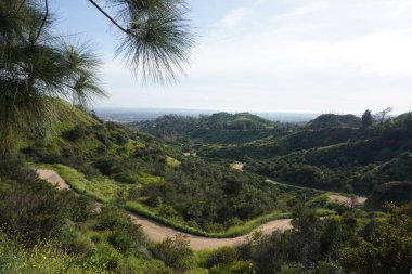 Los Angeles tepelerinin manzarası, tepelerin arasındaki yollar.