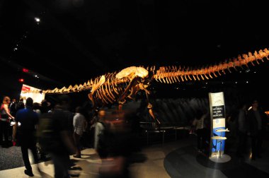 22 Mayıs 2016 'da New York' un geniş açı görüntüsü. 