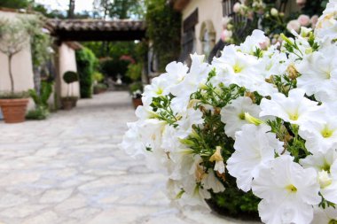 14 Mayıs 2014 'te Fransa' nın Cote D 'azur şehrinde güzel bir havuz evi.