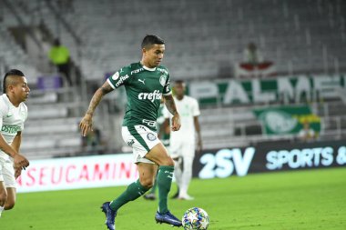 Florida Kupası 2020: S.E Palmeiras - Atletico Nacional maçı 15 Ocak 2020 Çarşamba günü Orlando Florida Exploria Stadyumu 'nda..  