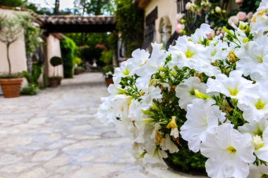 14 Mayıs 2014 'te Fransa' nın Cote D 'azur şehrinde güzel bir havuz evi.