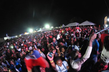 Orlando Karayipler Festivali 18 Mart 2017 Florid Fotoğraf: Marty Jean-Louis