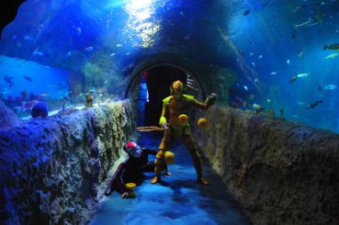 30 Ağustos 2016 'da Orlando Florida' daki güzel Orlando Eye 'daki Cirque du Soleil gösterisi.