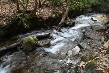 Maggie Vadisi, Kuzey Carolina 'da kış.